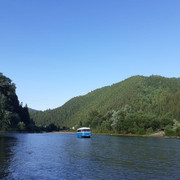 IMG-5354