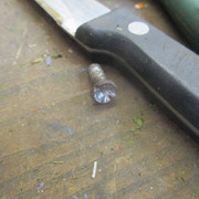 IMG-6023