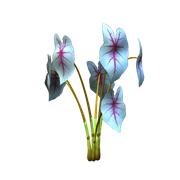 Twins72-Flower1