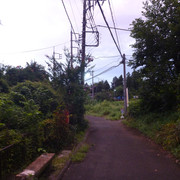 P1330586
