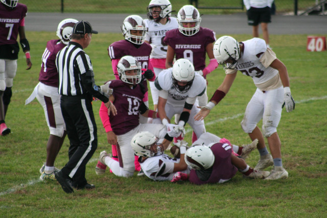 IMG-0232.jpg