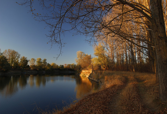 100f00123m.jpg