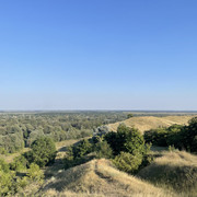 IMG-6548