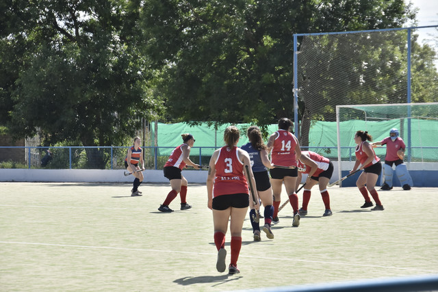 EMA5478.jpg