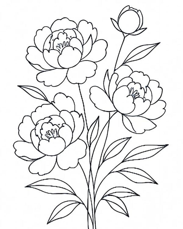 Hand Embroidery Designs by Priyanka.jpg
