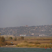 DSC08201