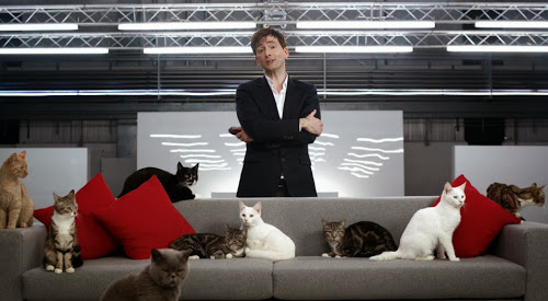 Tenni Cats1.jpg
