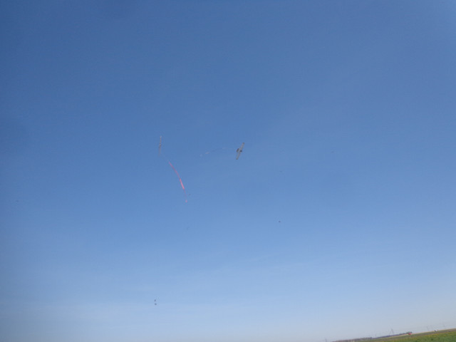 DSC00374.jpg