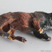 IMG-6644