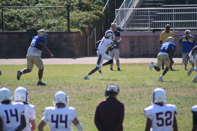 IMG-1415