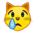 crying-cat.gif
