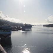 IMG-0295