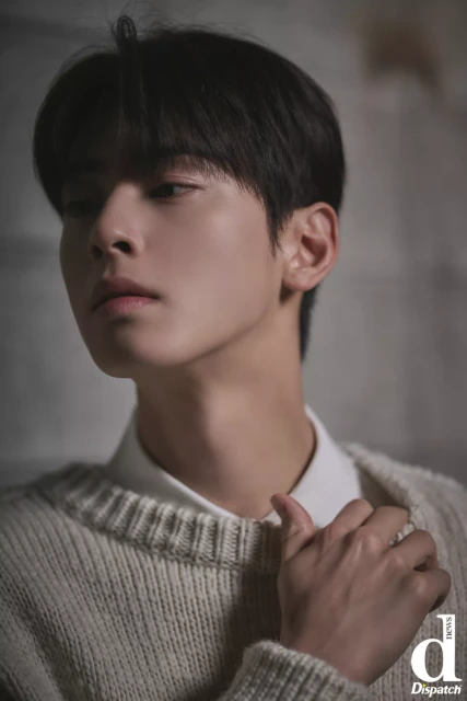 cha eun woo 1301922