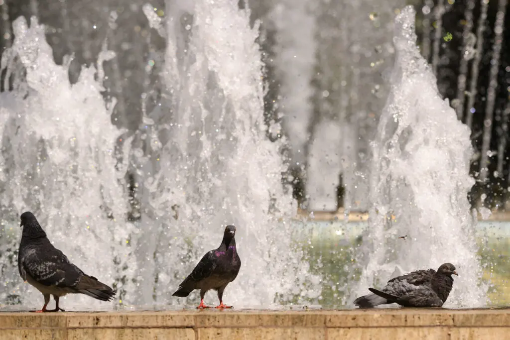 Caniculă în București: temperaturi de până la 35 de grade și disconfort termic accentuat