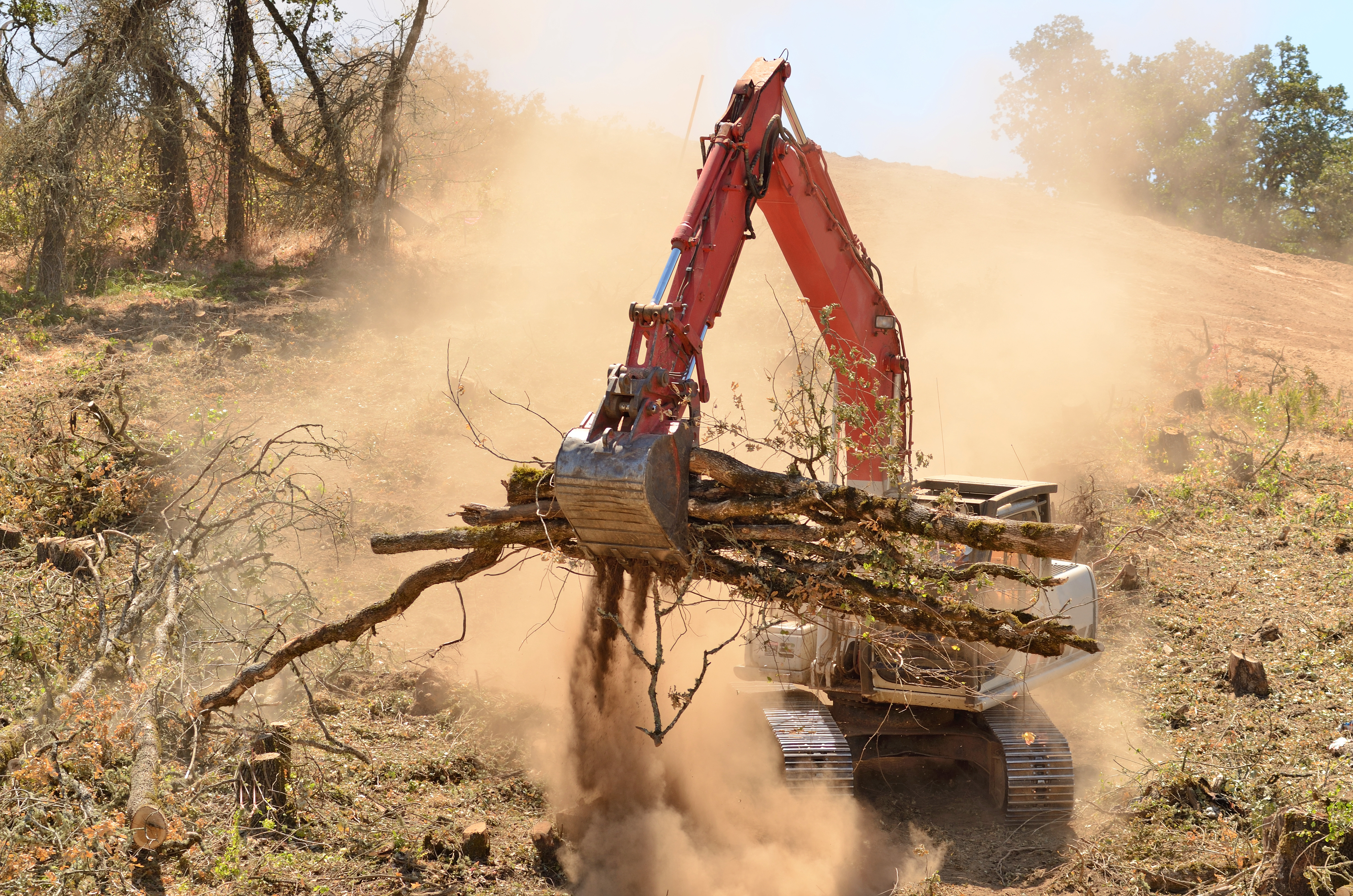 Land Clearing Northeast Ohio