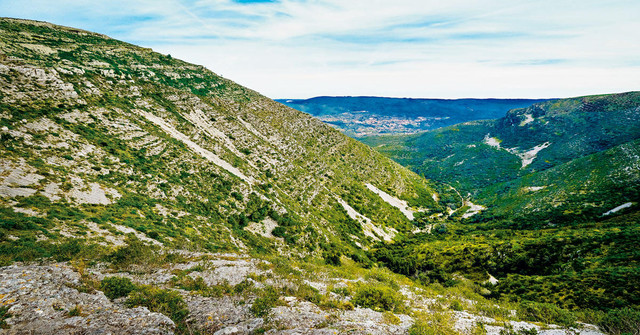 aa