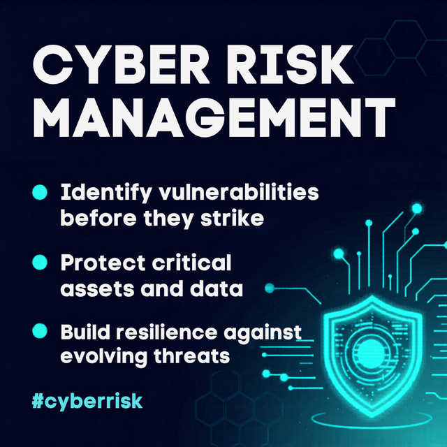 cyber risk