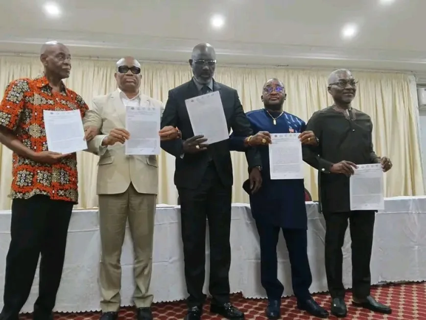 Illustration - Au Liberia, Weah et quatre autres poids lourds de l'opposition font front commun contre Boakai
