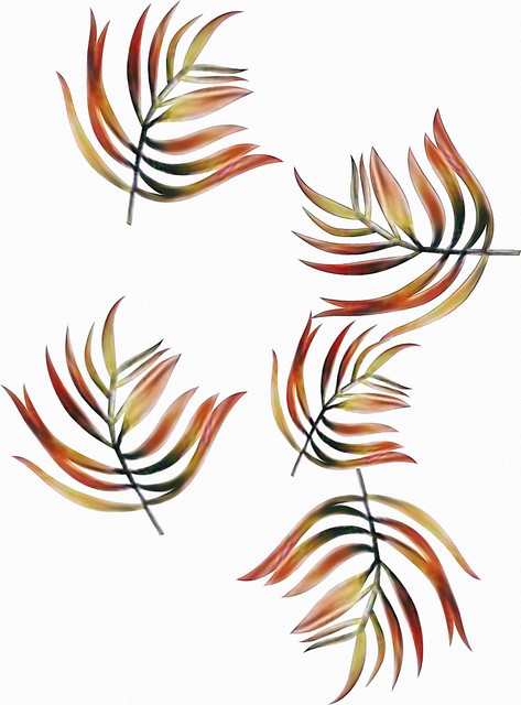 shutterstock 2240478069.jpg