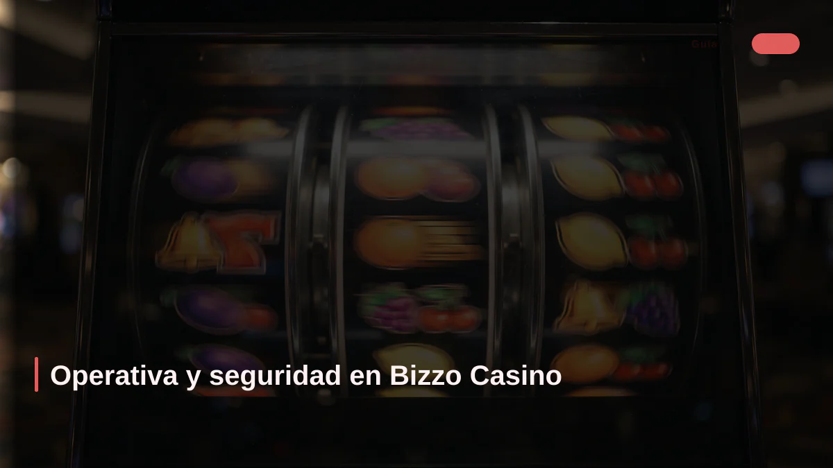Operativa y seguridad en Bizzo Casino