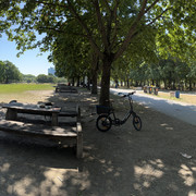 IMG 6241