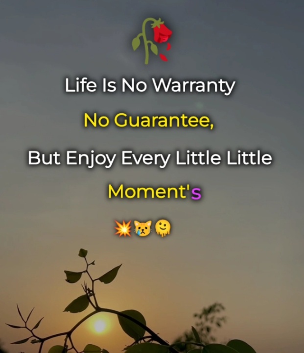 Life is No Warranty