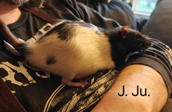 jju2