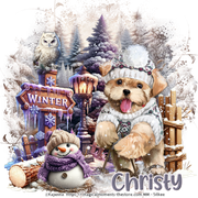 christy3wintertag vi