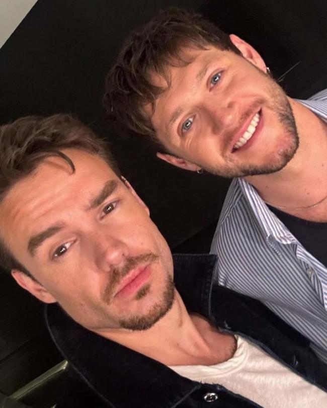 Payne (izquierda) viajó a Buenos Aires para ver al ex compañero de banda de One Direction, Niall Horan (derecha), en concierto.Instagram