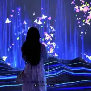 三角梅科博园9