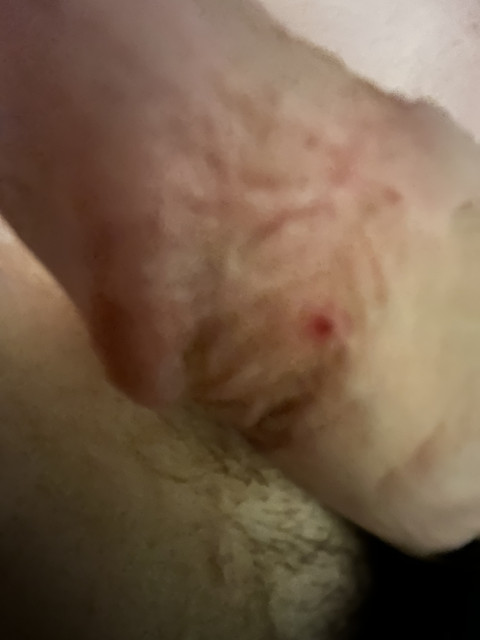 IMG-1340