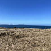 IMG 3078