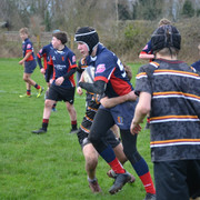 DSC 0448