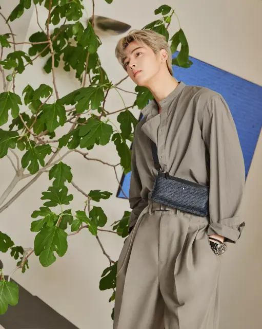 cha eun woo 1246657