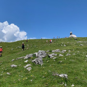 IMG 7179