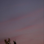 IMG 0424