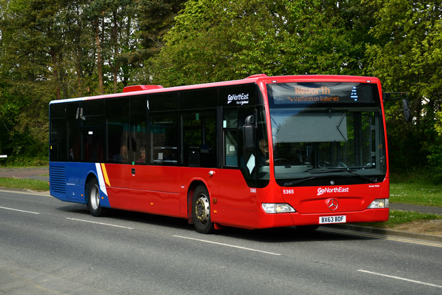 DSC 4687