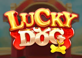 Lucky Dog Oyna