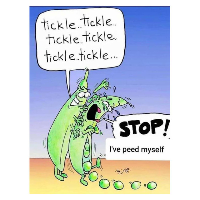 pea