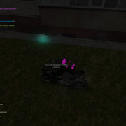 image 38