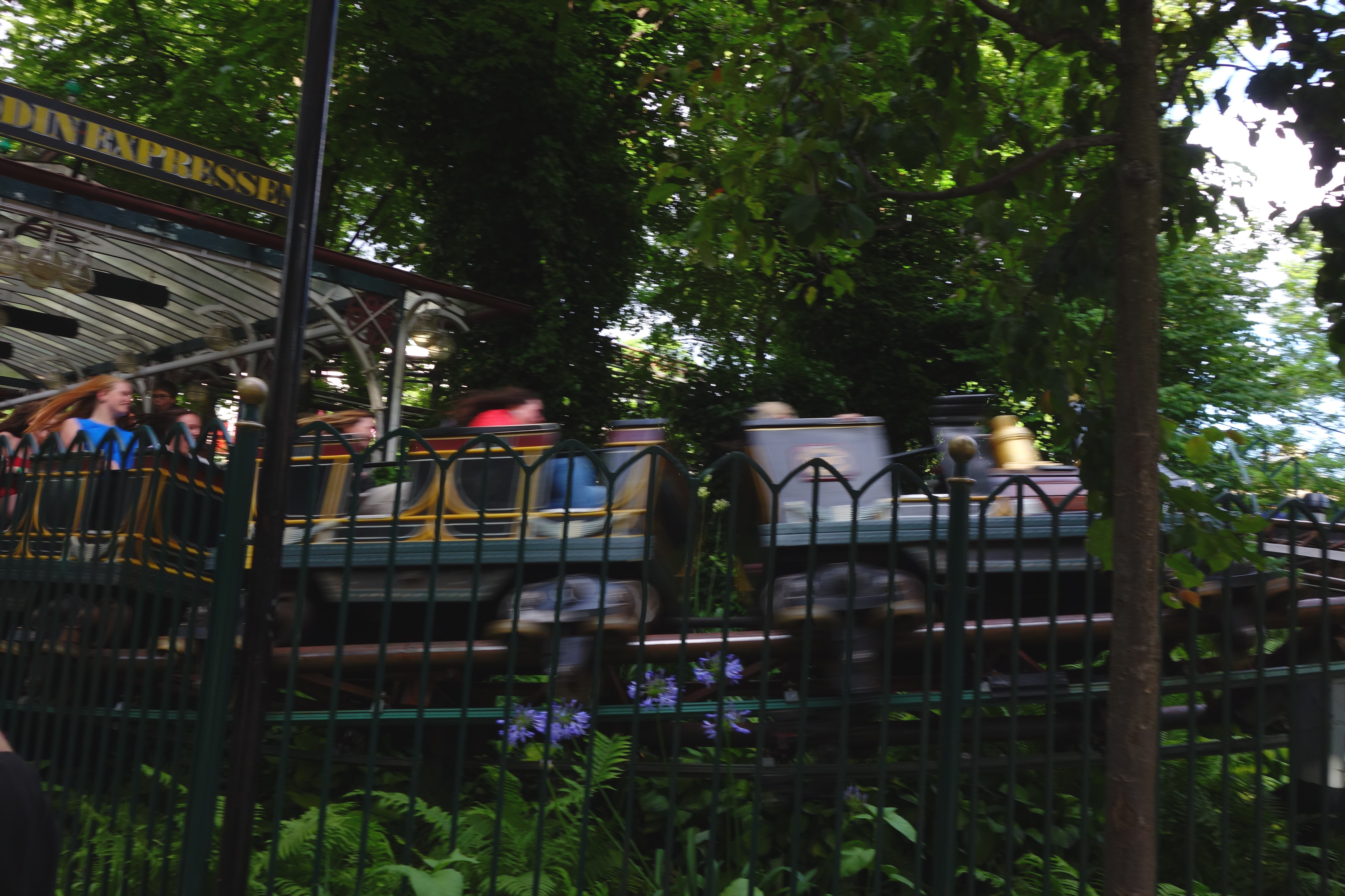 DSC07698