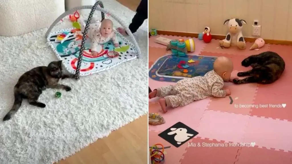 Cat's First Meeting With Baby Evolves Into a Bond Neither Expected