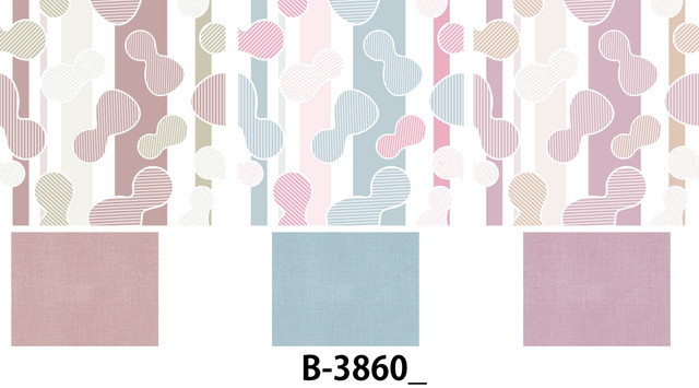 B 3870 ORG.jpg