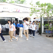 IMG 8524
