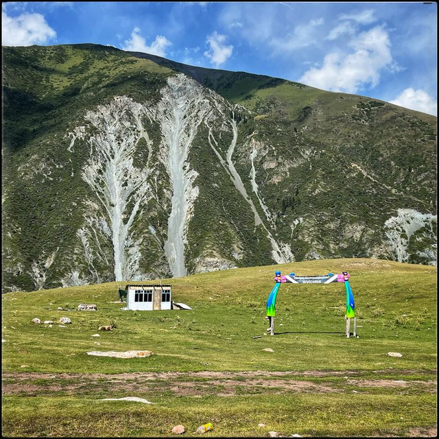 comp-IMG-4167
