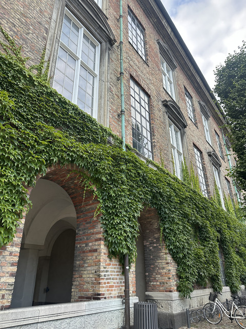 IMG-7205