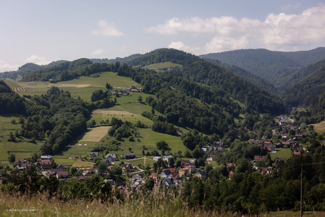 IMG-0162