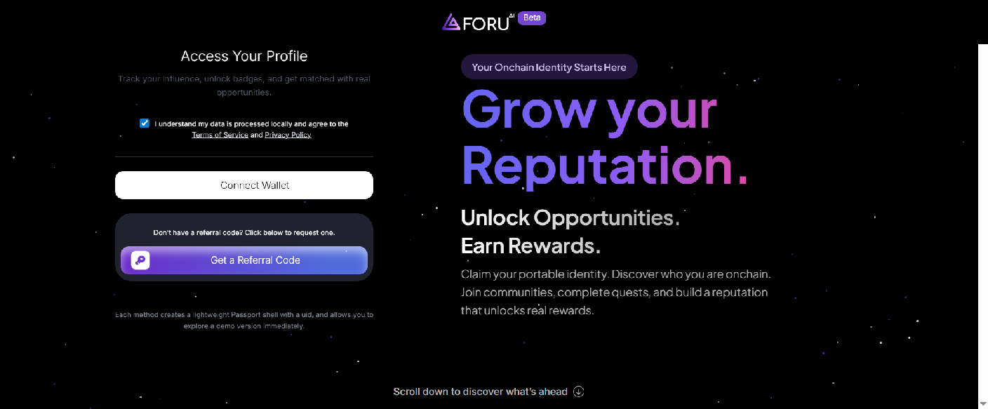 Stored capture of foruai.xyz