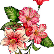 b0e1d85b86c02bdb8be1a6d24fd15fb4