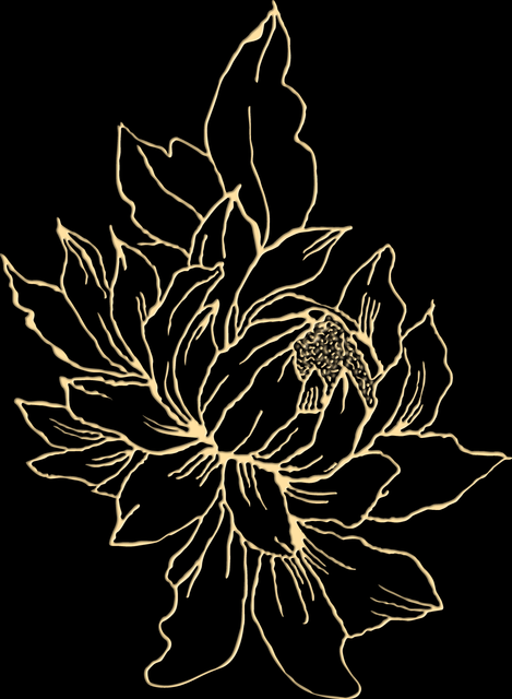 Image 07.png